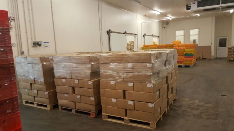 Container Inspection Reports - ISO Compliance